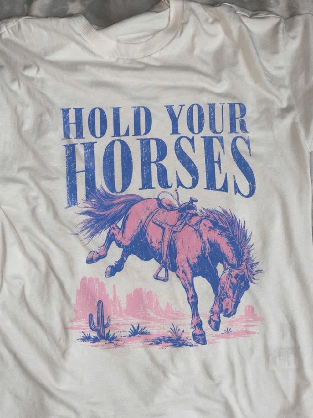 Gildan White Tee with Blue & Pink 'Hold Your Horses' Graphic